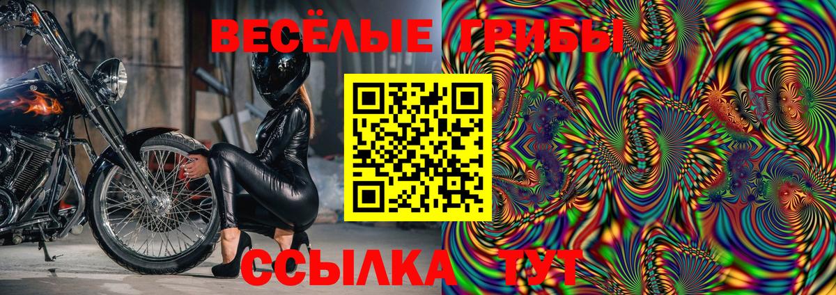 Галлюциногенные грибы GOLDEN TEACHER  Псилоцибиновые грибы GOLDEN TEACHER  Волгодонск  Вход с VPN 